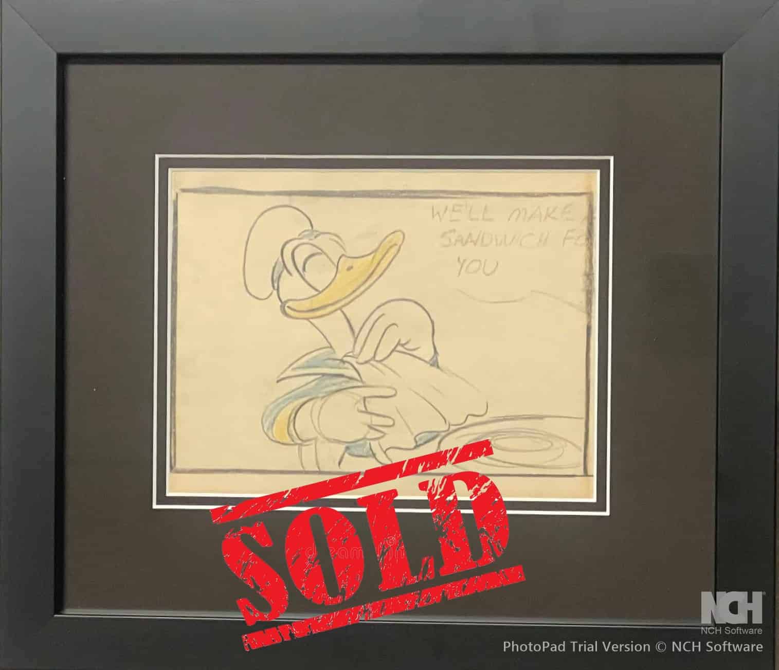 Donald’s Nephews - 3