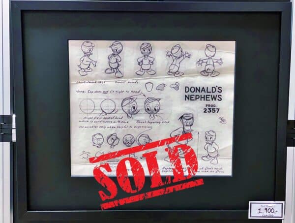 Donald's Nephews